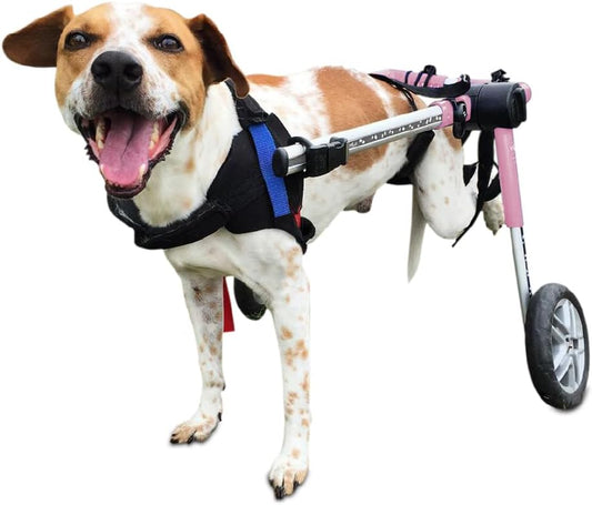 Dog Wheelchair - for Medium Dogs 26-49 Lbs - Veterinarian Approved - Dog Wheelchair for Back Legs